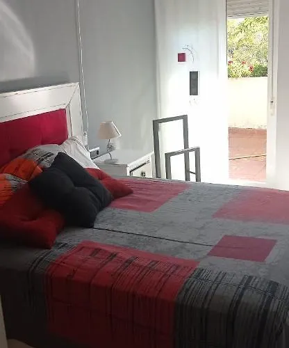 Sunny And Cozy Room